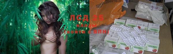MESCALINE Новозыбков
