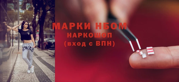 хмурый Няндома