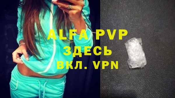 стафф Новокубанск