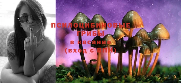 MESCALINE Новозыбков