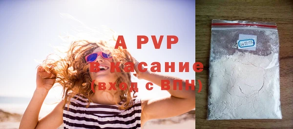 хмурый Няндома
