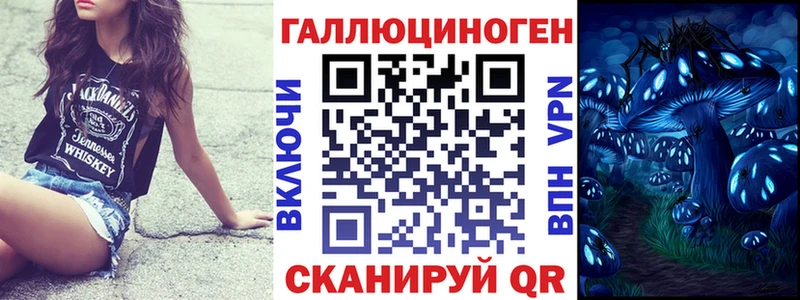 как найти наркотики  Комсомольск-на-Амуре  Псилоцибиновые грибы Psilocybine cubensis 