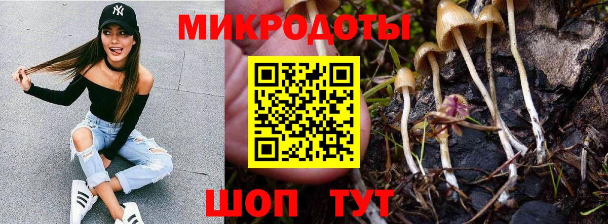 Комсомольск-на-Амуре  Псилоцибиновые грибы MAGIC MUSHROOMS  Вход с VPN 